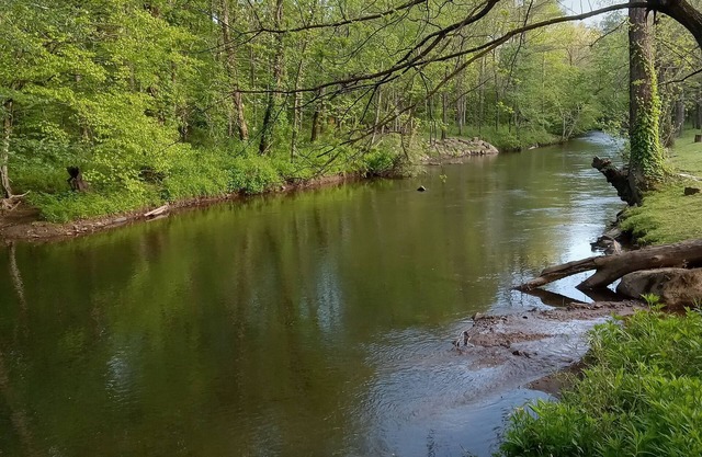 Riverside. Queen & Bunk bed-charcoal and firewood included. Pet friendly