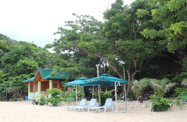 Rock Island Eres Bella