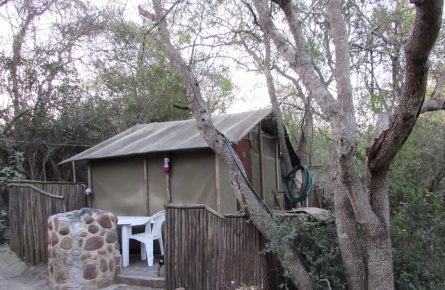 Romantic canvas pad on river, share shower with monkeys and listen to the lions