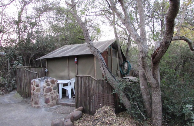 Romantic canvas pad on river, share shower with monkeys and listen to the lions