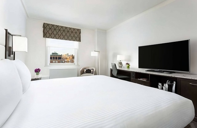 Romantic Couple Room in the Heart of Boston Theater District, Pets Are Allowed