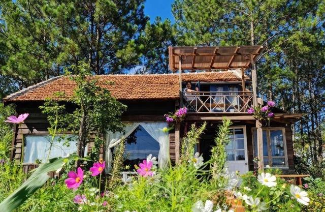 Romantic house on a pine hill Dalat