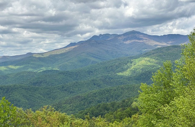 Romantic & Secluded! Blowing Rock, Views, Hot tub - The Secret Shack