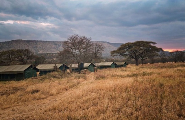 Rongai Eleven Serengeti Camp