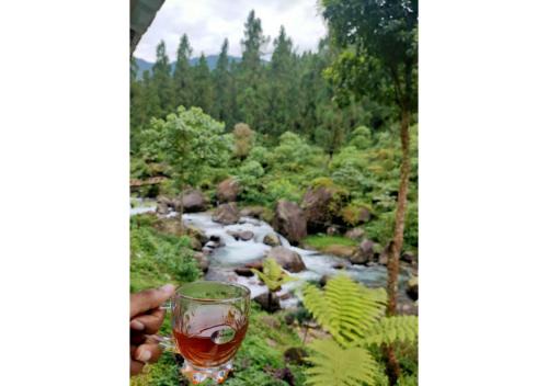 Rongo River View Homestay