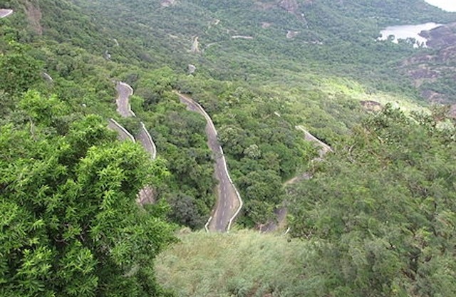 Room in Lodge - Royal Cottage, Anaimalai