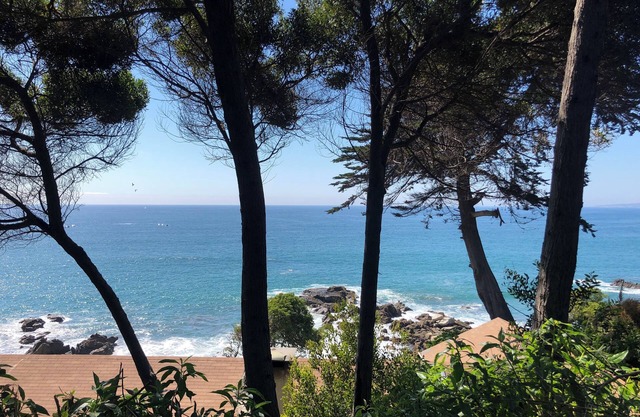 Room with private bathroom in a house with excellent ocean view, steps from the beach.