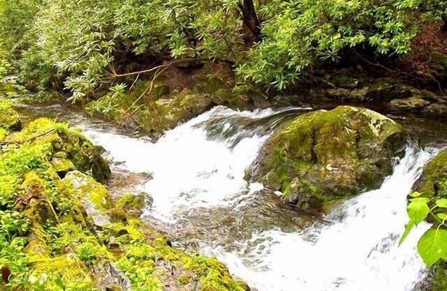 Rushing Waters Cabin- A Romantic Creek Side Retreat with Waterfalls