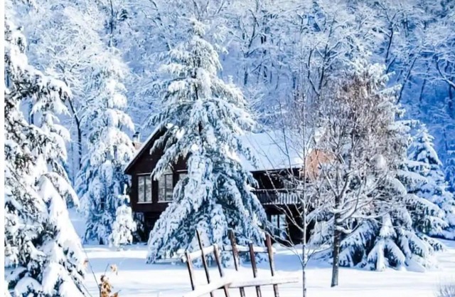 Rustic Acres Cabin & Springs