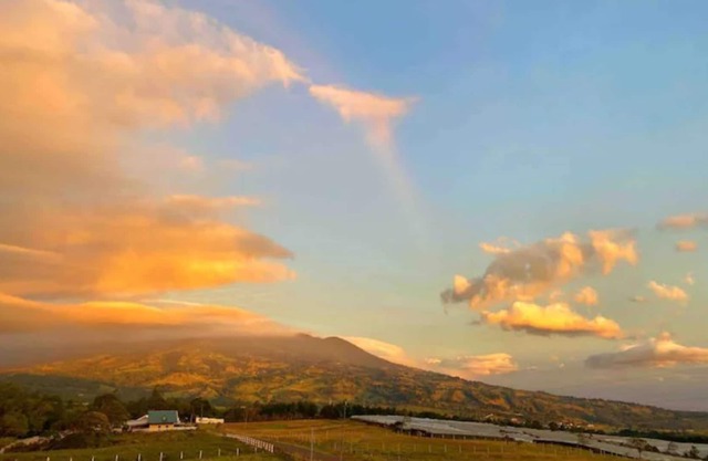 Rustic Cabin with a Great View