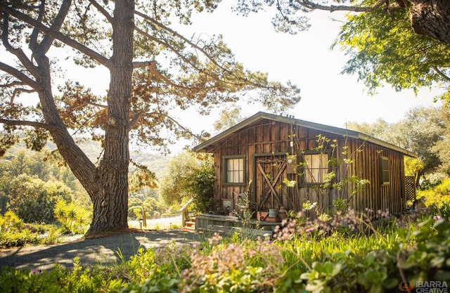 Rustic Charm in the Quiet Countryside: Olive Tree Cabin