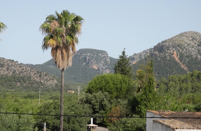 Rustic country house, surrounded by almond trees, quiet area.