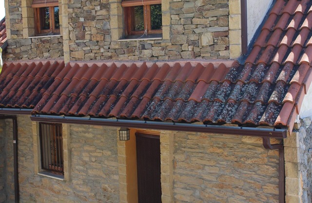 RUSTIC HOUSE WITH ONE OF THE BEST VIEWS OF BIERZO