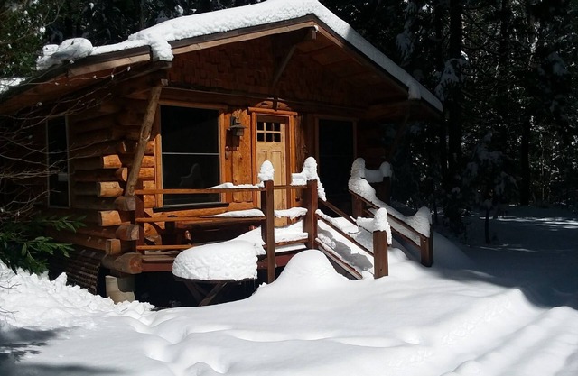 Rustic mountain retreat - escape to a hand-built cabin in the woods