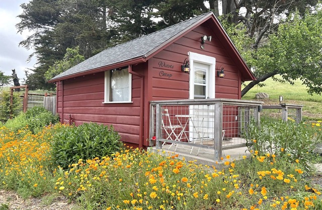 Rustic Studio Cottage on Organic Cattle Ranch