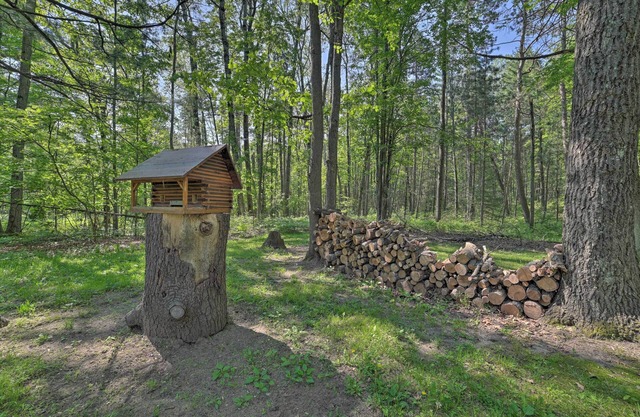 Rustic Wooded Retreat w/ Fire Pit, Near Trails!