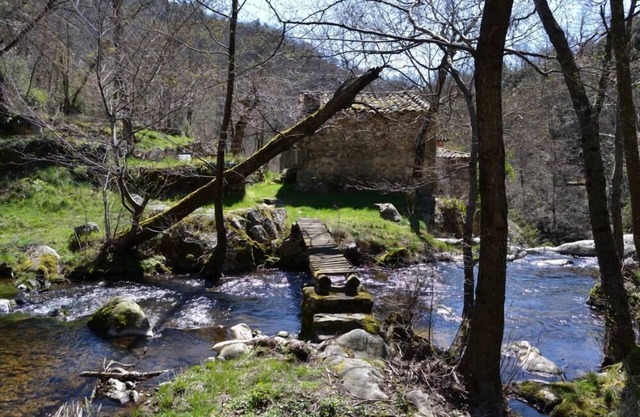 Saint Julien Labrousse: Country Cottage /Gite - Saint Julien Labrousse