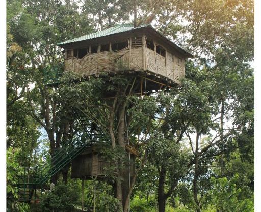 Salaams Raama Heritage Eco Village