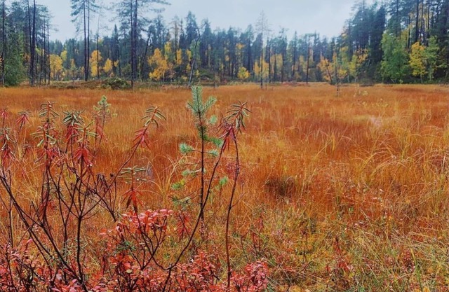 Sallan Lumous A by Interhome