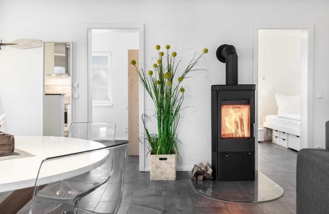 Salzhaff StrandHaeuser mit Kamin u