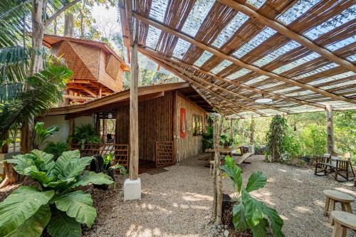 Samara Tarantela, Treehouse