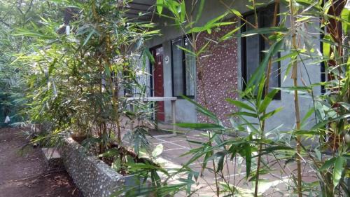 Samartha Cottage, Varsoli