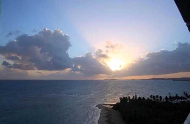 Sanctuary in Paradise