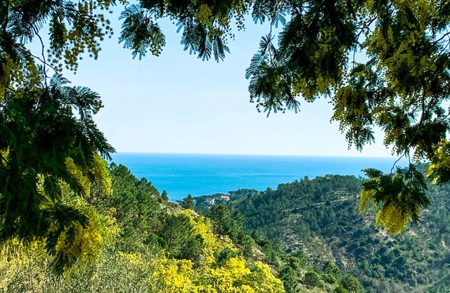Sandra's little stone house in the Ligurian Riviera