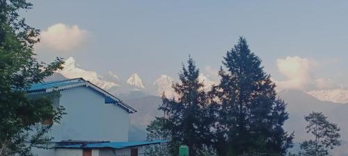 Sangrila vijaya lodge munsyari