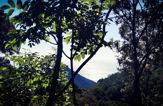 Sans Murs Dans la Nature