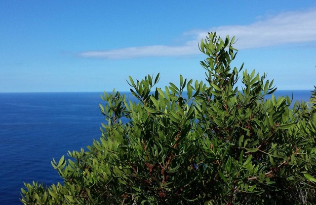 Sant'Anna house on Brionis estate with large veranda overlooking the sea