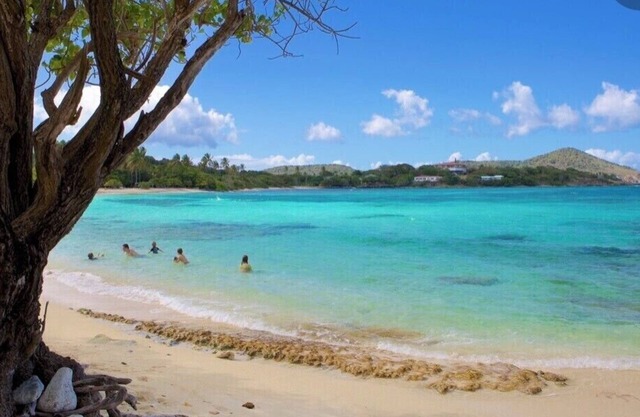 Sapphire Beach; St Thomas USVI; Sleep 4; STEPS FROM BEACH
