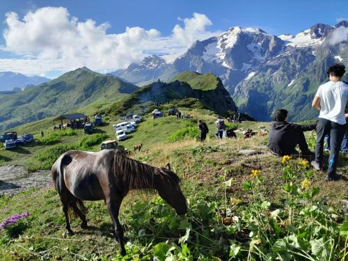 Sarag Mountain & Family Guesthouse Svaneti