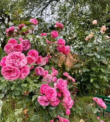 Sarajevo Flower Garden
