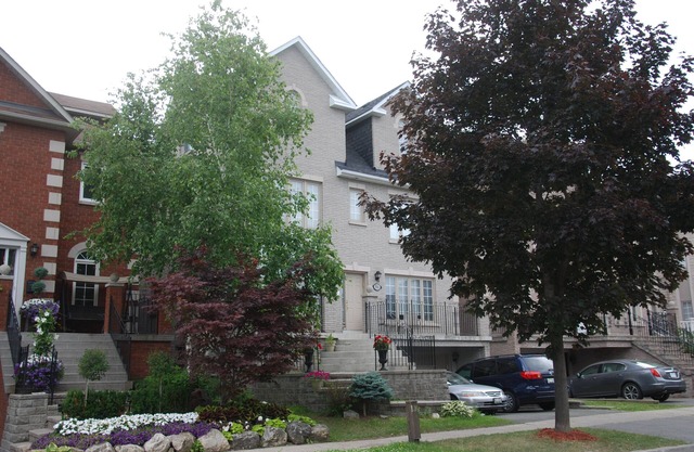 Sara’s Place - Strictly Kosher HomenBeautiful basement Apartmentn