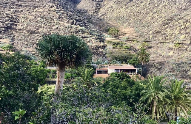 Scenic Organic Farmstay at Rincón del Olivo, San Sebastián de la Gom