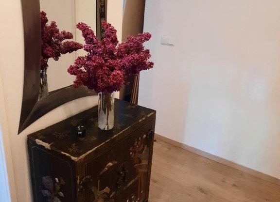 Schöne Wohnung in der Grazer Innenstadt