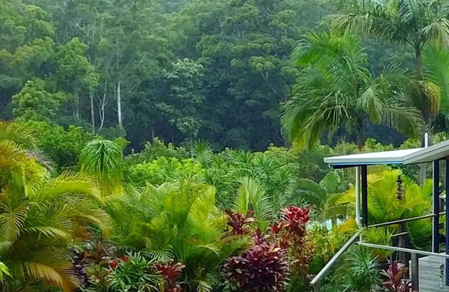 Scotts Head Retreat - Secluded Property