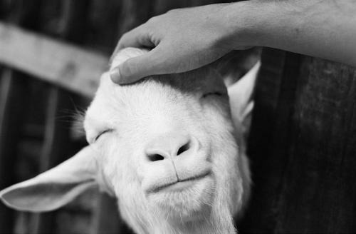 Sea Breeze Ecological Villa