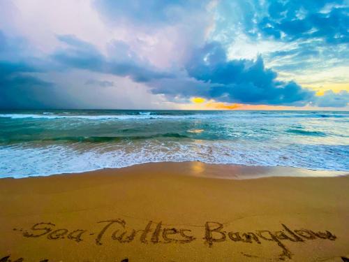 Sea Turtles Boutique Bungalow