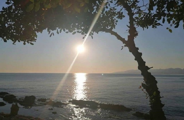 Sea Waves Apartment 1