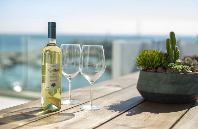 Seafront Oasis above the Marina