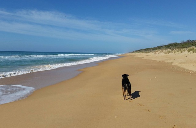 Seahaven - beachfront retreat for two