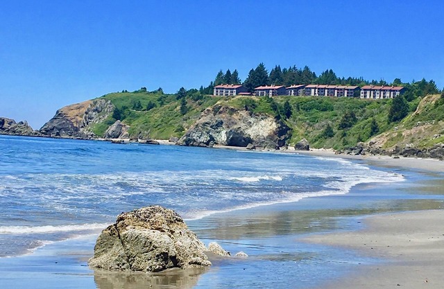 Seas Today Vacation An Ocean View Condo with Private Beach Trail