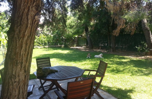 Seaside Bungalow Eleni, Eretria Evia Greece