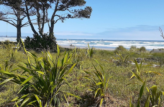 Seaside with sheltered garden and cycle trail access. Winter discounts now on.