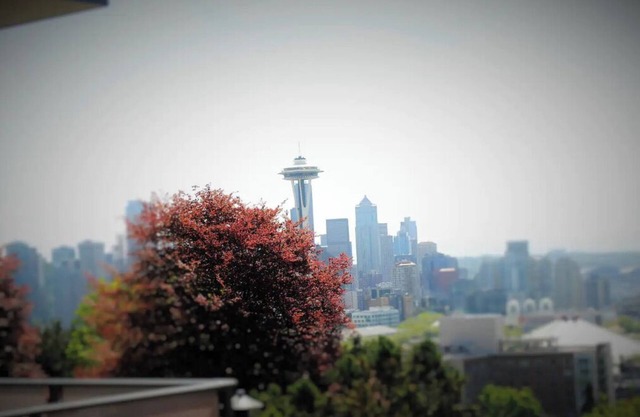 Seattle "Post Card" View and Luxury Too