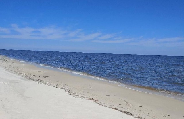 Secluded Florida Beach Bungalow FALL SPECIAL 20% OFF!