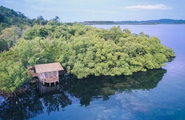 Secluded Coconut Cabin, bioluminescence and coral!