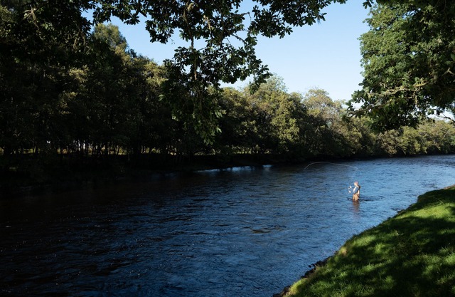 Secluded woodland cottage on the banks of a pristine Highland river